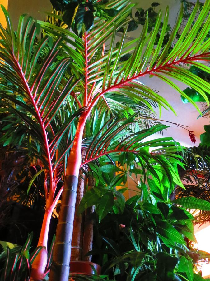 Stella Resort Naha Eksteriør billede